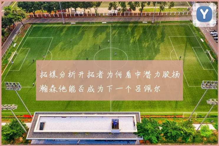 拓媒分析开拓者为何看中潜力股杨瀚森他能否成为下一个吕佩尔